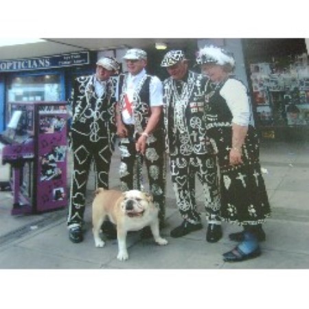 English Bulldog Breeder in Chessington, Surrey
