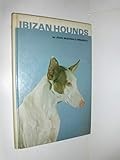 Ibizan Hounds