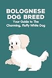 Bolognese Dog Breed: Your Guide to The Charming, Fluffy White Dog: How Well You Know about Bolognese Dog Breed