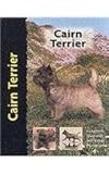 Cairn Terrier