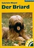 Der Briard