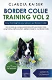 Border Collie Training Vol. 2: Dog Training for your grown-up Border Collie