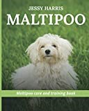 Maltipoo: Puppy training book for Maltipoo's