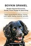 Boykin Spaniel thumbnail