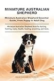 Miniature Australian Shepherd. Miniature Australian Shepherd Essential Guide, From Puppy to Adult Dog. Miniature Australian Shepherd Book for Raising, ... Costs, Health, Feeding, Grooming, and more.