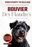The Ultimate Bouvier Des Flandres Big Guide: Everything You Will Ever Need To Know About The Bouvier Des Flandres Book