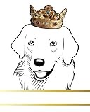 Kuvasz Dog Record and Memory Book: Dog Photo Album Pet Milestones Keepsake Book