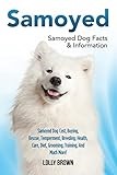 Samoyed: Samoyed Dog Cost, Buying, Rescue, Temperament, Breeding, Health, Care, Diet, Grooming, Training, And Much More! Samoyed Dog Facts & Information