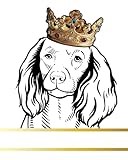 American Water Spaniel Dog Record and Memory Book: Dog Photo Album Pet Milestones Keepsake Book