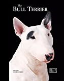 Bull Terrier (Best of Breed)
