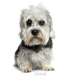 Journal: Dandie Dinmont