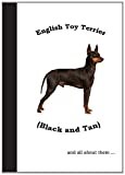 English Toy Terrier (Black & Tan): And all about them...