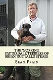 THE WORKING PATTERDALE TERRIERS of BRIAN NUTTALL'S STRAIN