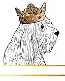 Otterhound Dog Record and Memory Book: Dog Photo Album Pet Milestones Keepsake Book