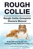 Collie thumbnail