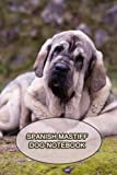 Spanish Mastiff Dog Notebook: Notebook|Journal| Diary/ Lined - Size 6x9 Inches 100 Pages