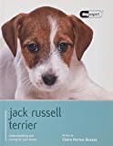 Jack Russell Terrier - Dog Expert