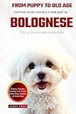 The Ultimate Bolognese Big Guide: Everything You Will Ever Need To Know About The Bolognese Book