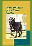How to Train Your Cane Corso: A Comprehensive Guide to Raising a Well-Behaved and Obedient Companion