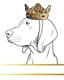 Redbone Coonhound Dog Record and Memory Book: Dog Photo Album Pet Milestones Keepsake Book