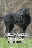 Curly Coated Retriever Notebook: Notebook|Journal| Diary/ Lined - Size 6x9 Inches 100 Pages
