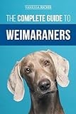 Weimaraner thumbnail