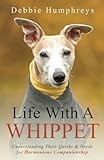 Life With a Whippet: Understanding Their Quirks and Needs for Harmonious Companionship