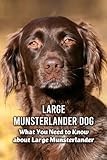 Large Munsterlander Dog: What You Need to Know about Large Munsterlander: Large Munsterlander Dog Breed Information and Pictures