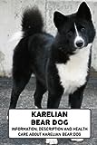 Karelian Bear Dog: Information, Description and Health Care About Karelian Bear Dog: Karelian Bear Dog Everything Dog Breeds