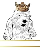 Petit Basset Griffon Vendeen Dog Record and Memory Book: Dog Photo Album Pet Milestones Keepsake Book