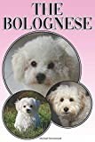The Bolognese: A Complete and Comprehensive Beginners Guide to: Buying, Owning, Health, Grooming, Training, Obedience, Understanding and Caring for Your Bolognese