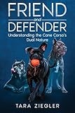 Friend and Defender: Understanding the Cane Corso’s Dual Nature