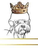 Dandie Dinmont Terrier Dog Record and Memory Book: Dog Photo Album Pet Milestones Keepsake Book