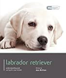 Magnet & Steel Labrador Retriever (This is a BOOK!) (Dog Expert)