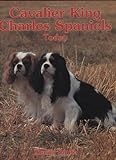 Cavalier King Charles Spaniel thumbnail