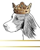 Irish Red and White Setter Dog Record and Memory Book: Dog Photo Album Pet Milestones Keepsake Book