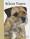 Border Terrier - Best of Breed: 8