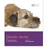 Border Terrier - Dog Expert