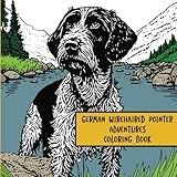German Wirehaired Pointer Adventures: Coloring Book