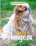Just Pekingese Photo Book: Photography Book About This Lovely Dog With 40 Photos Inside | Gift For Decoration And Relaxation