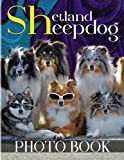Shetland Sheepdog Photo Book: Containg 40 Cute Dog Photos For Relaxation And Decoration | Gifts For Children And Adults