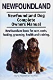 Newfoundland Dog thumbnail