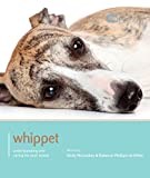 Whippet - Dog Expert: Understanding and Caring for Your Breed