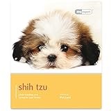 Shih Tzu thumbnail