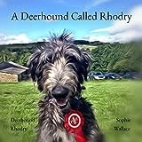 A Deerhound called Rhodry (Rhodry the Scottish Deerhound)