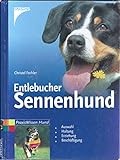 Entlebucher Sennenhund : Auswahl, Haltung, Erziehung, Beschäftigung