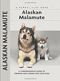 Alaskan Malamute (Kennel Club Dog Breed)