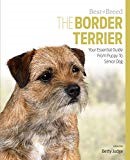 Border Terrier Best of Breed: Your Essential Guide from Puppy to Senior Dog