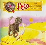 Bica, the Portuguese Water Dog