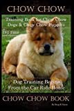 Chow Chow Training Book for Chow Chow Dogs * Chow Chow Puppies By D!G THIS DOG Training, Dog Training Begins From the Car Ride Home, Chow Chow Book